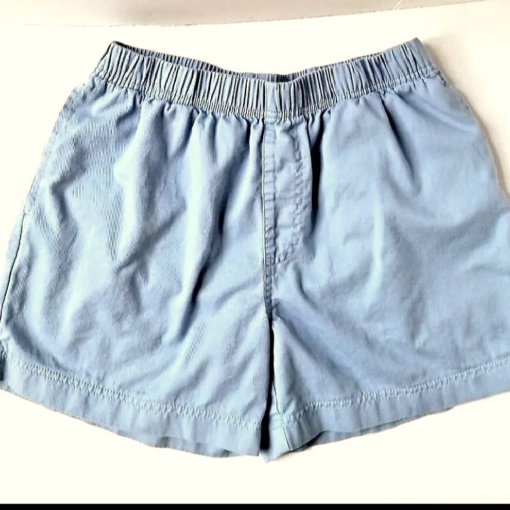 men's Chubbies shorts